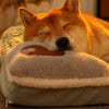 Pawfectbedsco | Orthopedic Dog Bed with Pillow